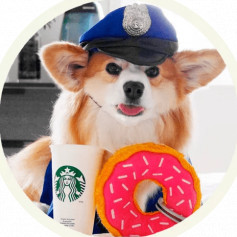 Police Toby